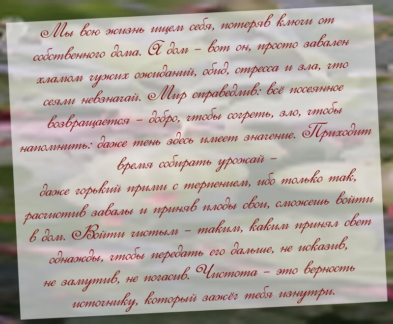 Экспертное Притяжение: Проверенная система адаптации, которая удержит и вырастит 90% ваших новичков в МЛМ