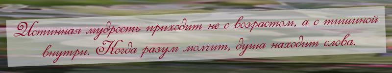 mudrost'