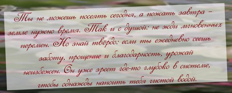 Кран вашего дохода: почему вода не течёт?