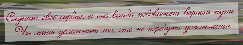 serdce